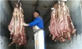 بیمار مبتلا به تب کریمه کنگو در ورامین وجود ندارد