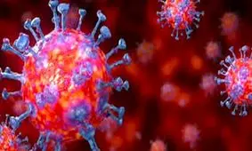 وضعیت ۷ شهرستان خراسان جنوبی به لحاظ کرونا پرخطر است