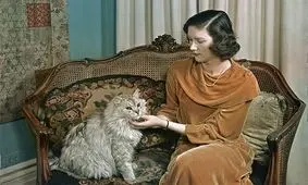 تا سر حد مرگ دوستت دارم: چطور به حیوانات عزیزمان آسیب می‌زنیم