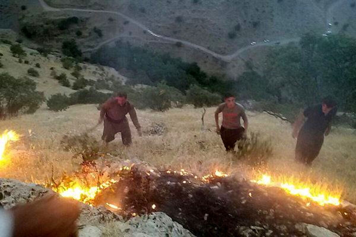جنگل های «هردریژ» استان ایلام در آتش می سوزد/ مردم امدادرسانی کنند