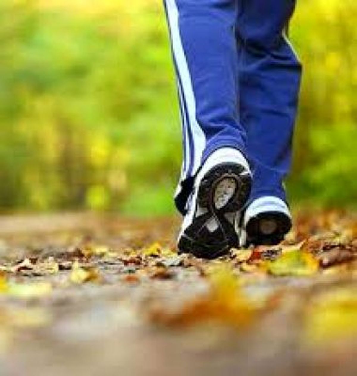 مدت زمان پیاده روی برای لاغری چقدر است؟