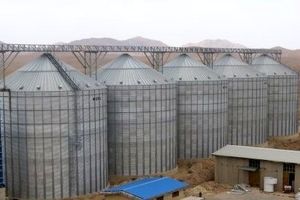 ظرفیت سیلوهای گندم فارس در هفت سال ۲۲۲ هزار تن افزایش یافت