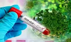 ۳ فوتی و ۱۹ مورد مثبت کرونا در زنجان