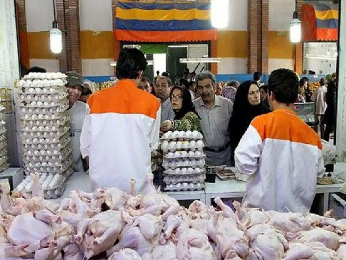 افزایش قیمت گوشت مرغ