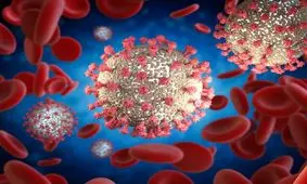 توصیه‌های تغذیه‌ای برای بهبودیافتگانِ کووید ۱۹