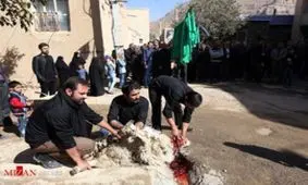 شیوع کنه‌های ناقل تب کریمه کنگو در کشور