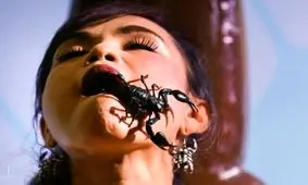 زندگی عجیب این زن با عقرب‌ها!+ تصاویر