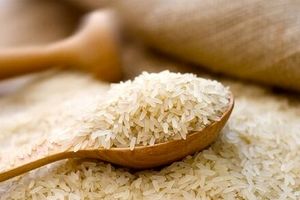 ثبات قیمت برنج در نیمه دوم سال؟