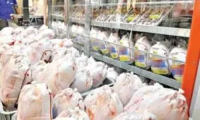 ضرورت ثبات بازار مرغ و تخم‌مرغ در قزوین