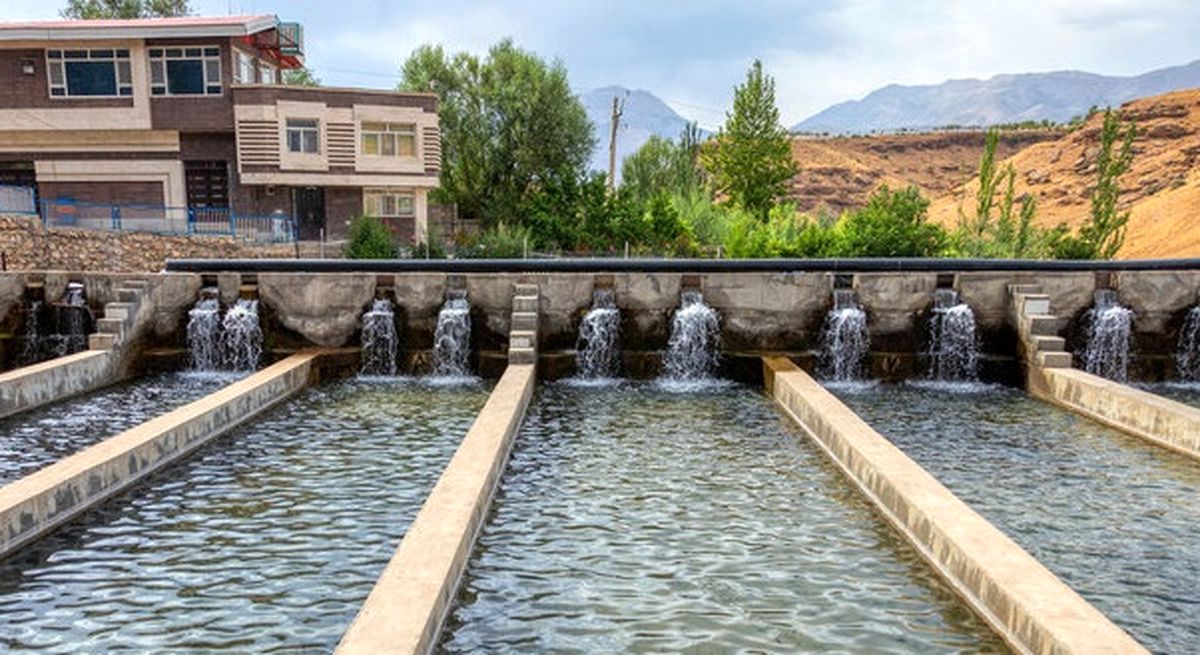جهش ۲ برابری تولید ماهی در اصفهان با برنامههای علمی