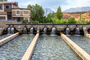 جهش ۲ برابری تولید ماهی در اصفهان با برنامه‌های علمی