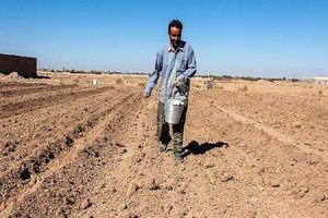 دستان خالی کشاورزان خراسان شمالی با مشکلات تولید/ کود و نهاده معضل روزهای کرونایی