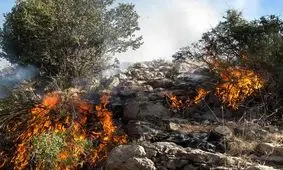 "ملکه ایران" سیاه بخت شد