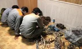 سارقان کابل های برق در دام پلیس زنجان