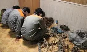 سارقان کابل های برق در دام پلیس زنجان