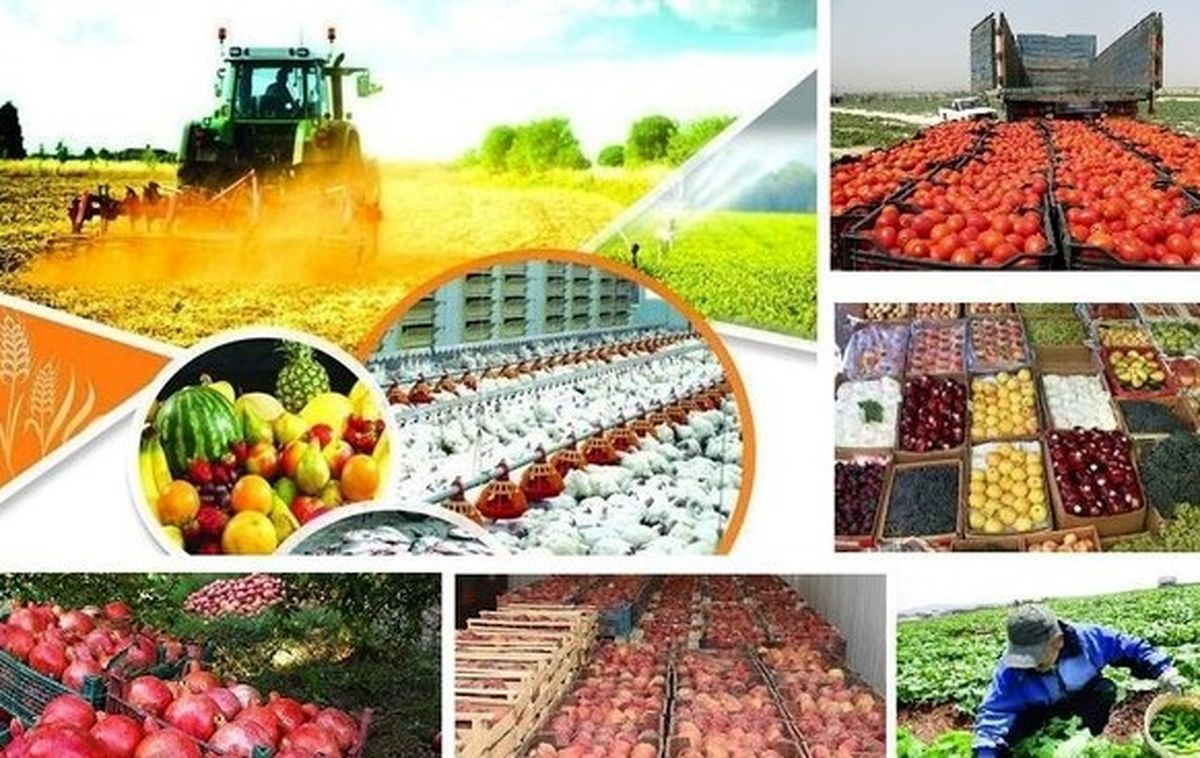 تولیدات بخش کشاورزی استان مرکزی از مرز سه میلیون تن گذشت