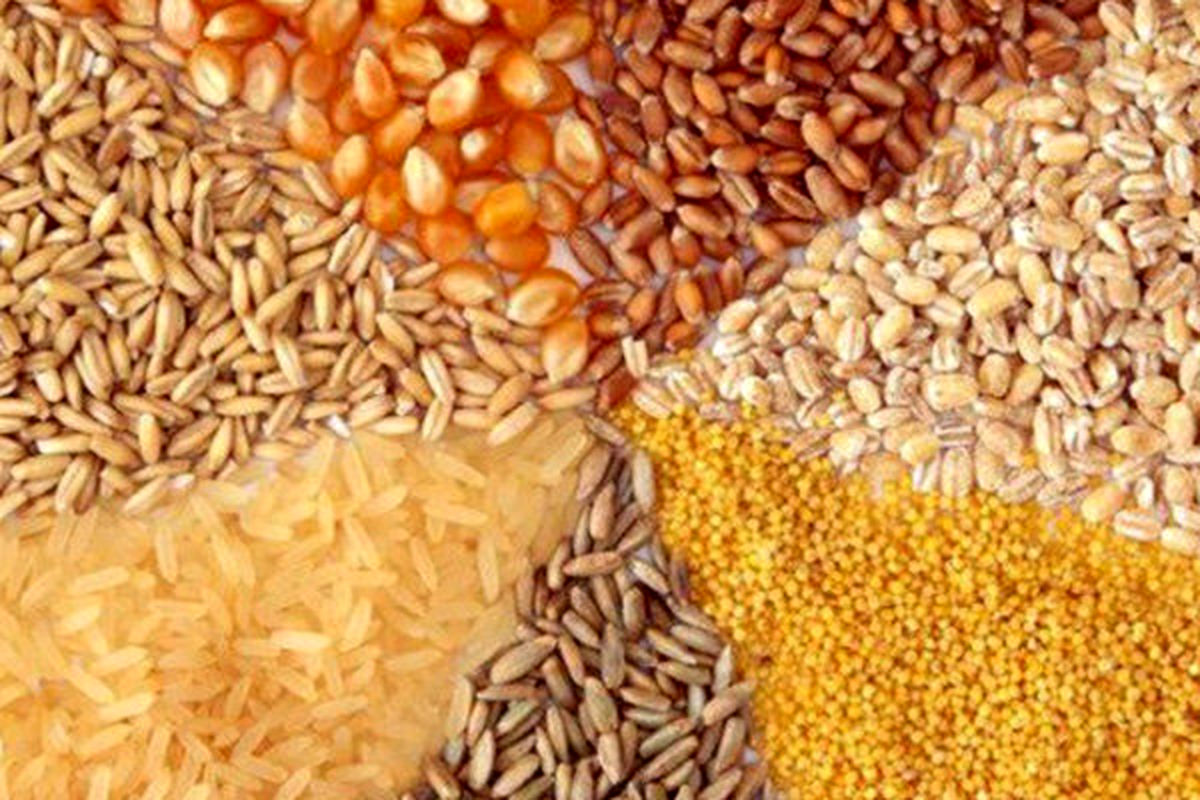 تأمین نهاده مورد نیاز واحدهای تولیدی تا آبانماه