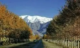 تهران، شهری که دیگر چنار و گنجشک ندارد