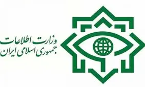 وزیر اطلاعات: درس عبرتی به‌یادماندنی به تروریست‌ها می‌دهیم
