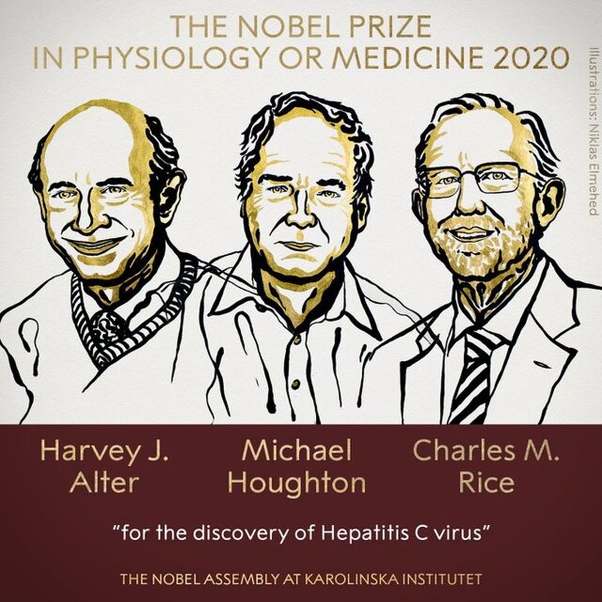 دستاورد برندگان نوبل پزشکی ۲۰۲۰ دقیقاً چه بوده است؟
