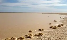 آخرین تلاش‌ها برای کسب روزی از هامون