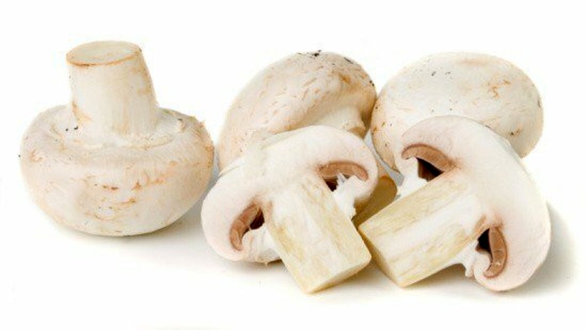 ۶ خاصیت شگفتانگیزِ قارچ برای سلامتی