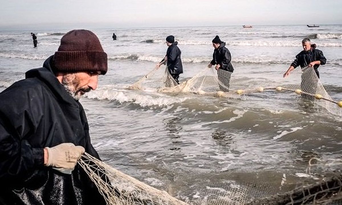صید ماهیان استخوانی دریای خزر در مازندران آغاز شد