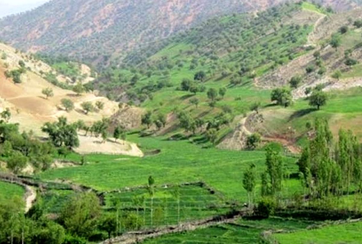 دیشموک، قطب تولید گیاهان دارویی کشور محروم از خدمات شهروندی/ فرماندار : نمیدانم منظور مردم از خدماتی که ارائه نمیشود، چیست؟
