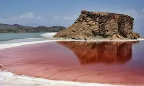 احیای دریاچه ارومیه، اقدامی طلایی در زندگی دوباره حیات وحش