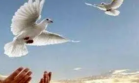 ماجرای نذر برای بهبود یک بیمار کرونایی و نجات قاتل از قصاص پس از ۹ سال