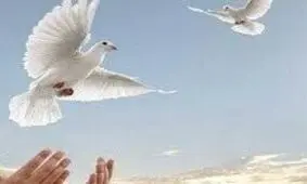 ماجرای نذر برای بهبود یک بیمار کرونایی و نجات قاتل از قصاص پس از ۹ سال