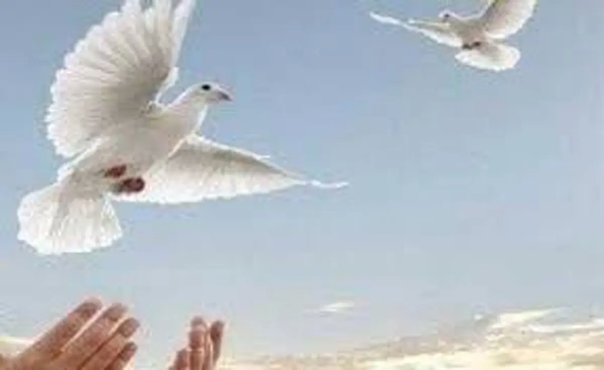ماجرای نذر برای بهبود یک بیمار کرونایی و نجات قاتل از قصاص پس از ۹ سال
