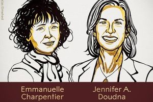 نوبل شیمی ۲۰۲۰ به دو زن که توسعه دهندگان "قیچی ژنتیکی" بودند، رسید