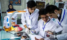 راه اندازی انجمن شرکت های دانش بنیان و فناور در گیلان