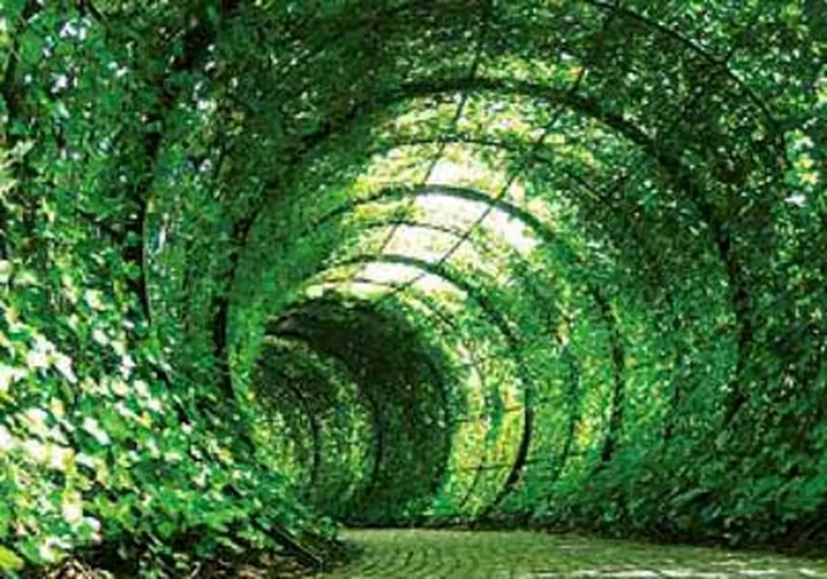 خطرناک‌ترین باغ گیاهان جهان با چندین کشته در یک سال/ عکس