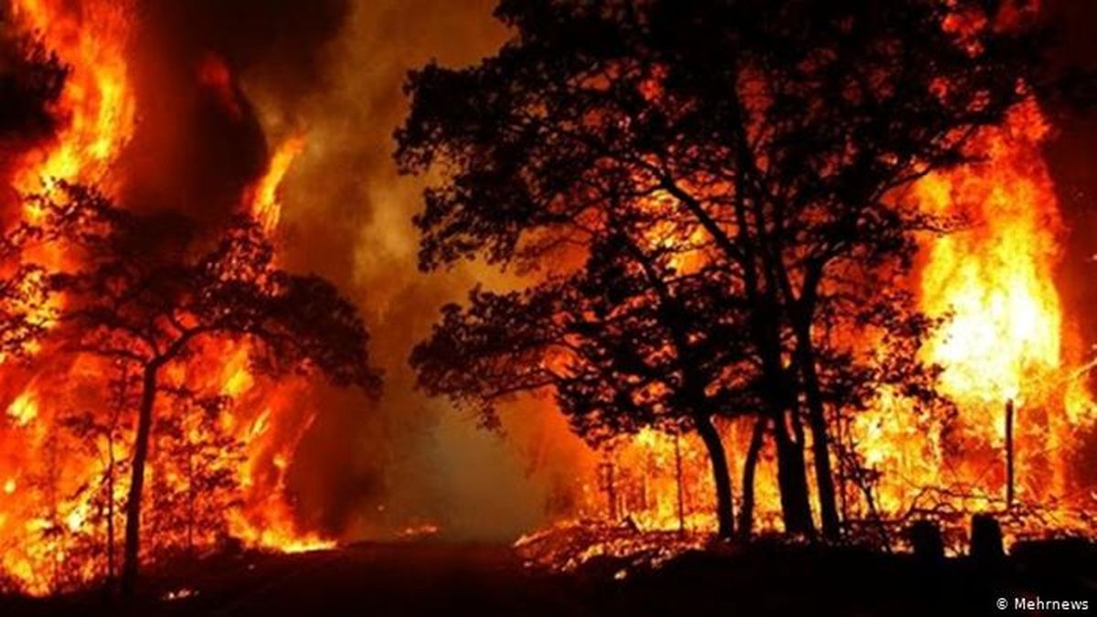جنگل‌های گچساران پس از ۳ شبانه روز همچنان در آتش می سوزند