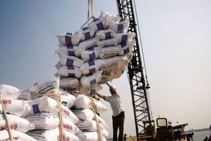 دردسر‌های ممنوعیت واردات برنج/ ۵۰ میلیون نفر توان خرید برنج ایرانی را ندارند
