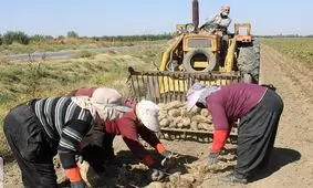 آذربایجان‌غربی شیرین‌ترین استان کشور