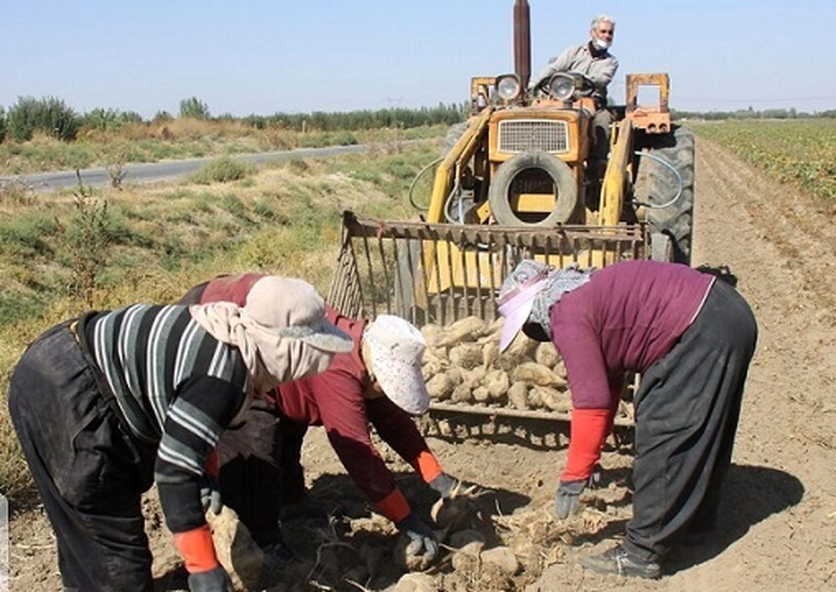 آذربایجانغربی شیرینترین استان کشور