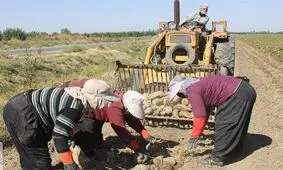 آذربایجان‌غربی شیرین‌ترین استان کشور