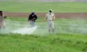 عوامل خسارت‌زا در بخش کشاورزی در اصفهان کنترل شد