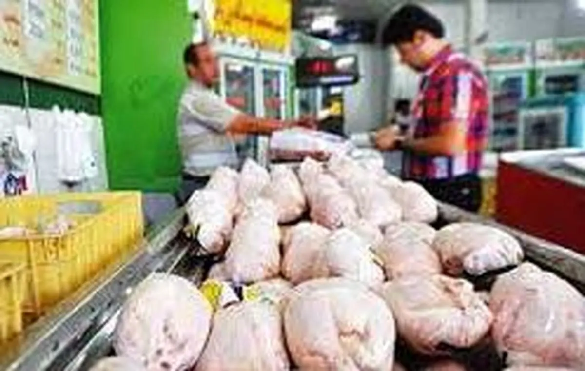 چگونه مرغ از سفره‌ها پر کشید؟