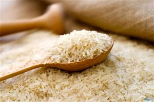 کاهش ۴۸ درصدی واردات برنج؛ نرخ هر کیلو برنج خارجی به ۲۵ هزار تومان رسید