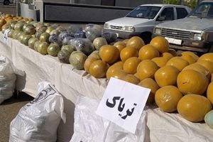 کشف یک محموله بزرگ مواد مخدر در شیراز
