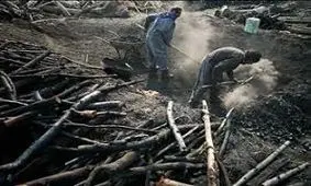 تخریب ۲ کوره ذغال غیر مجاز در شهرستان میناب