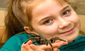 کلکسیون عجیب یک دختربچه از عنکبوت‌ها و مار‌های سمی