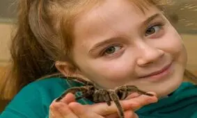 کلکسیون عجیب یک دختربچه از عنکبوت‌ها و مار‌های سمی