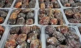 ایجاد شهرک تخصصی خرما نیاز دشتستان