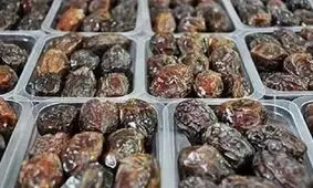ایجاد شهرک تخصصی خرما نیاز دشتستان