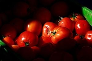 گوجه فرنگی هر کیلو ۱۵ هزار تومان شد